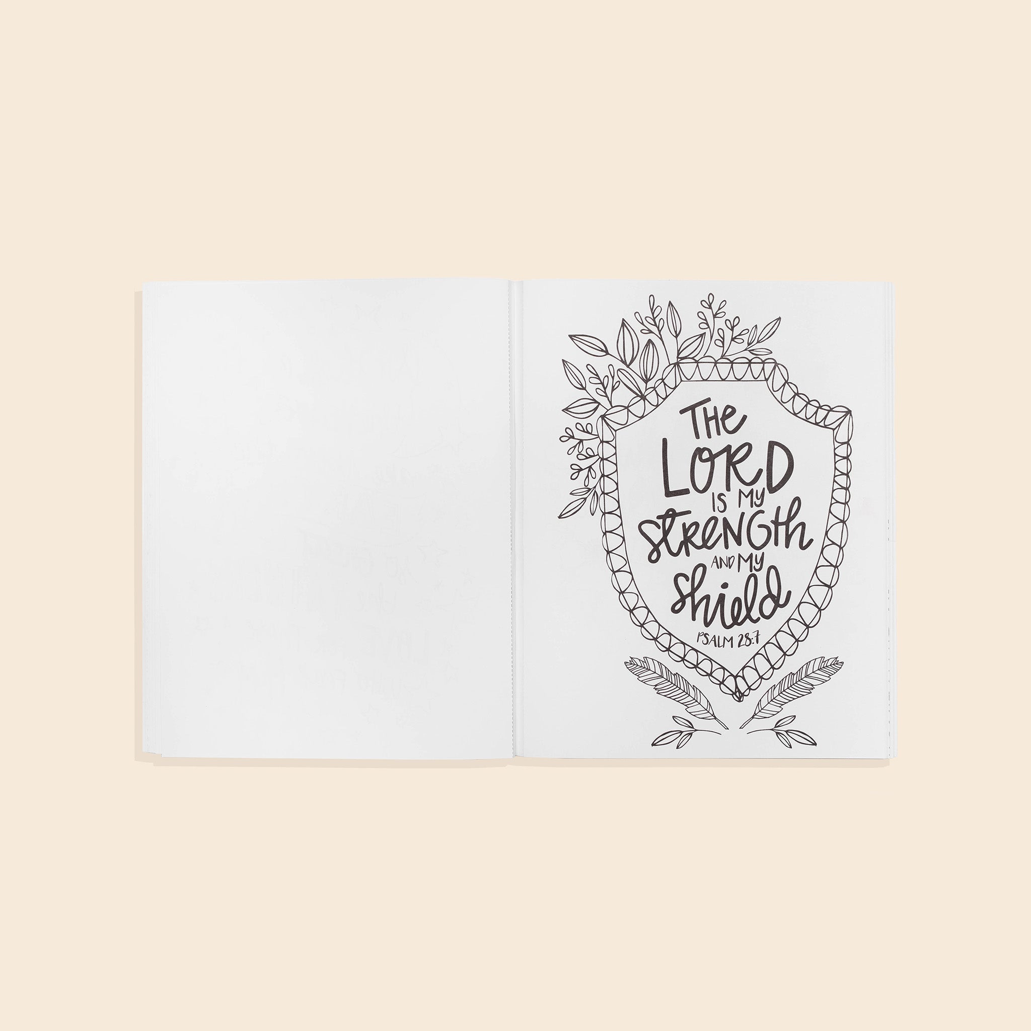 Beauty in the Bible 2 - Two & Gathered