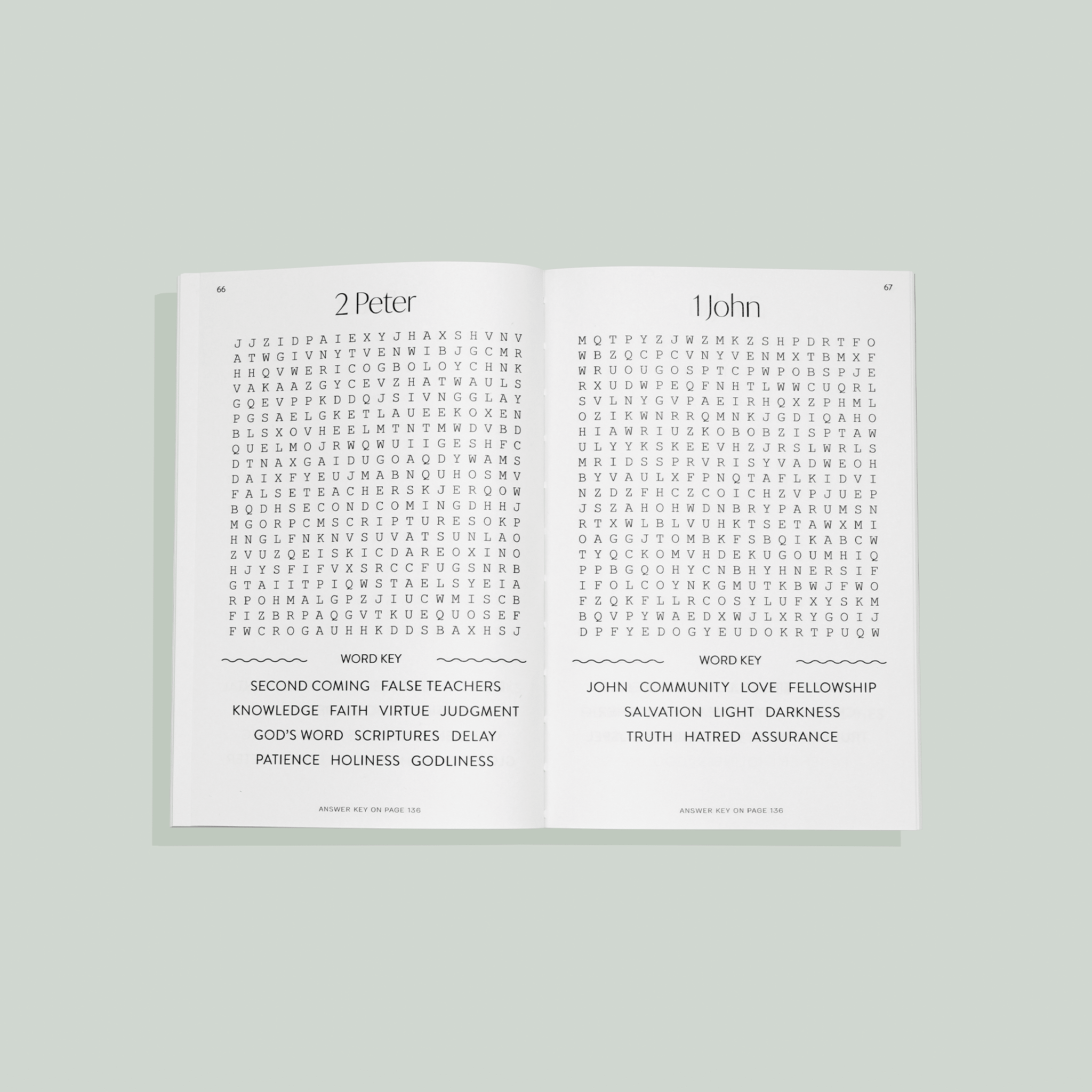 Bible Word Search for Adults - Two & Gathered