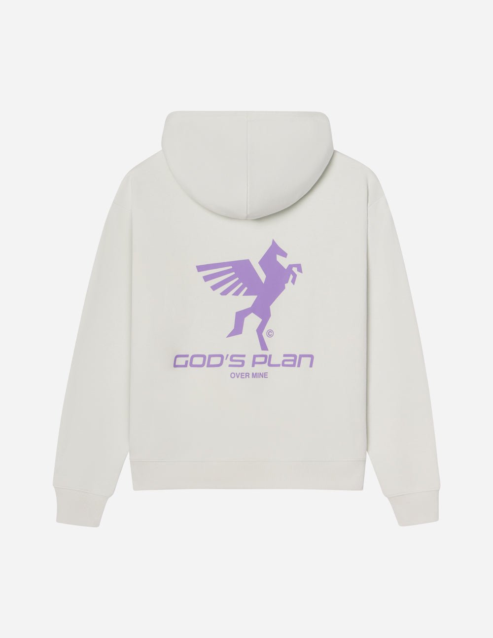 God's Plan Racing Unisex Hoodie - Two & Gathered