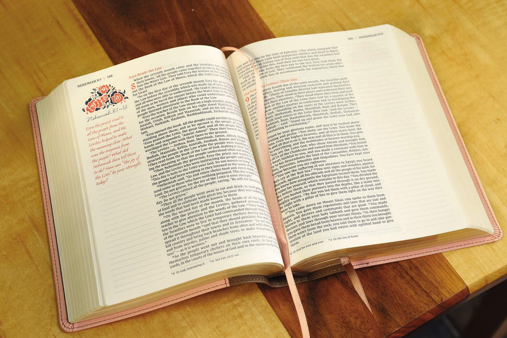 NIV, Journal the Word Bible for Women, Leathersoft, Brown/Pi - Two & Gathered
