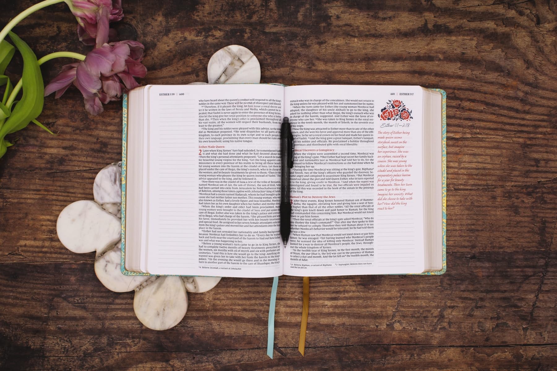 NIV, Journal the Word Bible for Women (Perfect for Note - Taki - Two & Gathered