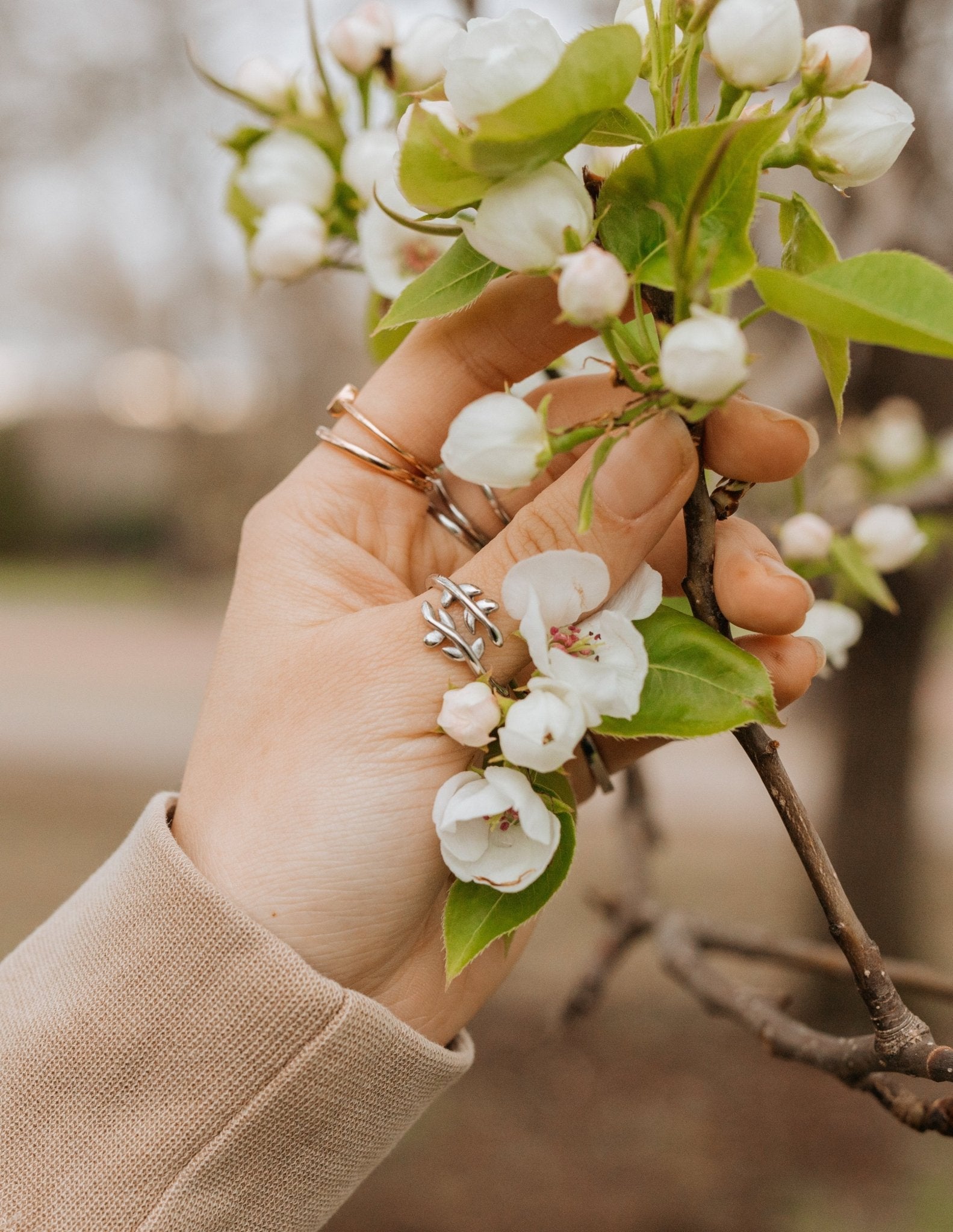 Olive Branch Ring - Two & Gathered
