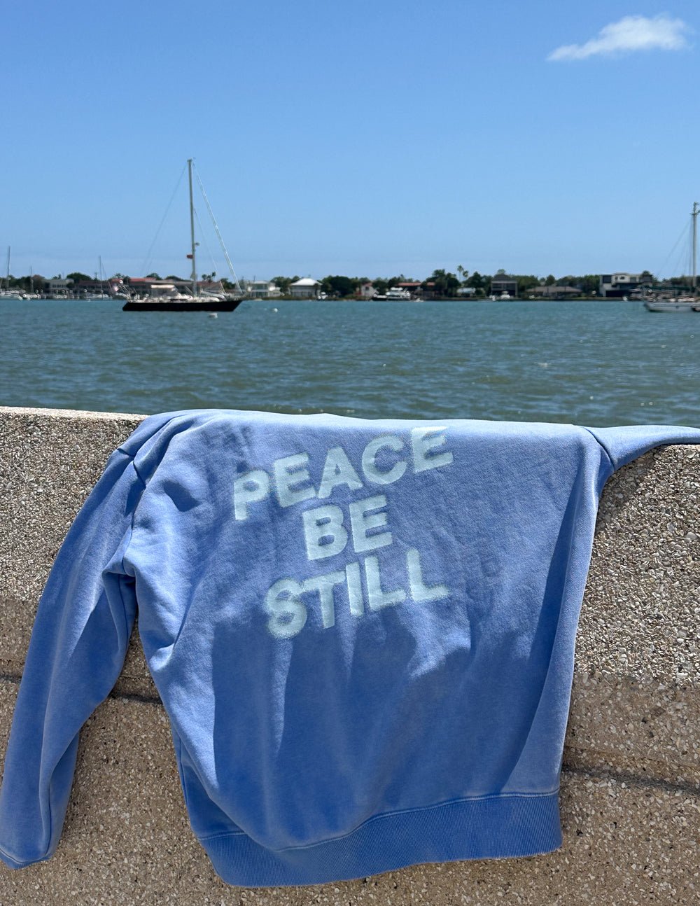 Peace Be Still Unisex Hoodie - Two & Gathered